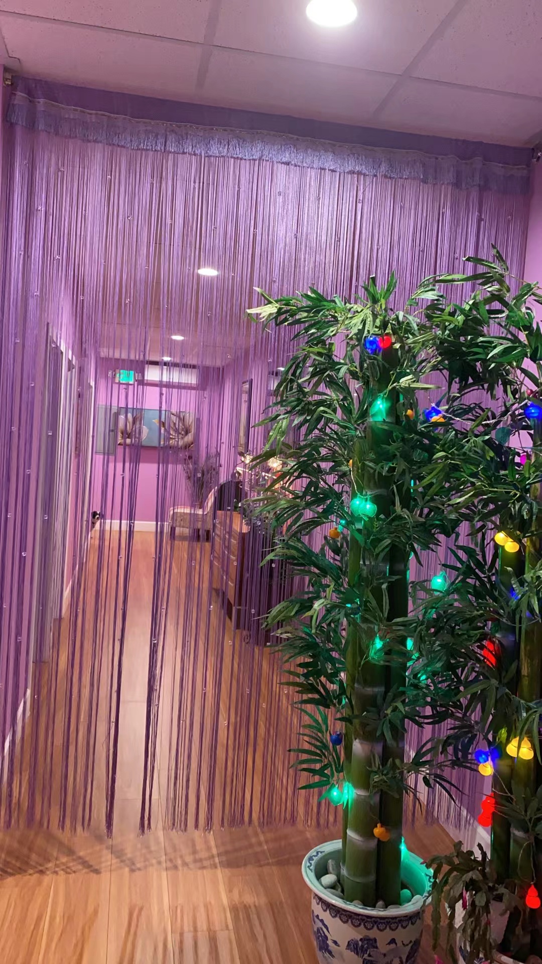 Treatment hallway with lavender bead curtain and bamboo plant strung with small lights